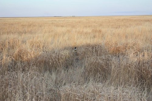 Property photo 70 - Kansas Land Auction - 960 Acres - 7 Farms in 3 Counties